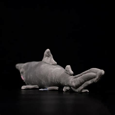 Goblin Shark Soft Stuffed Plush Toy – Gage Beasley