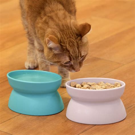 Top 9 Whisker City Cat Food Bowl - Kitchen Smarter