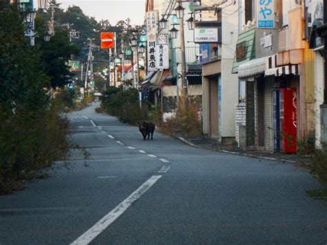 This Is What It's Like to Tour Inside the Fukushima Exclusion Zone - GaijinPot