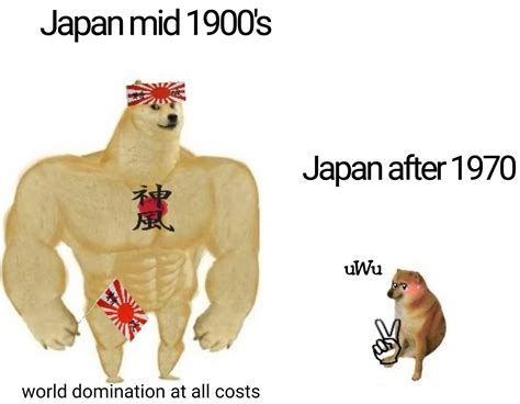 Japan in Mid-1900s / Japan After 1970 | Swole Doge vs. Cheems | Know Your Meme