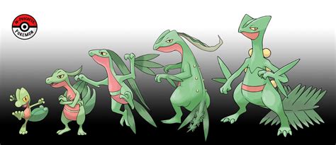 252 - 254 Treecko Line by InProgressPokemon on DeviantArt