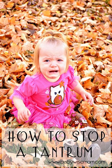 How To Stop a Tantrum - Chronicles of a Babywise Mom