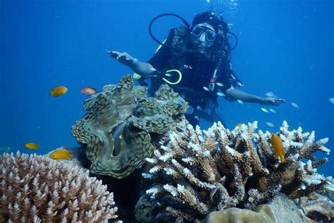 Top 10 Spots For Scuba Diving In Italy To Explore The Deep Sea In 2023