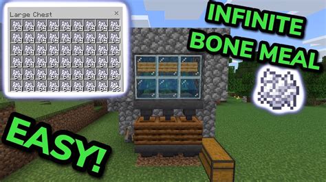 EASY 1.21 AUTOMATIC BONE MEAL FARM TUTORIAL in Minecraft Bedrock (MCPE/Xbox/PS4/Nintendo Switch ...