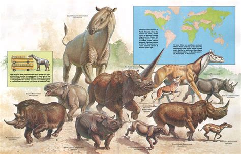 zoobooks rhinos | Extinct animals, Prehistoric animals, Prehistoric wildlife