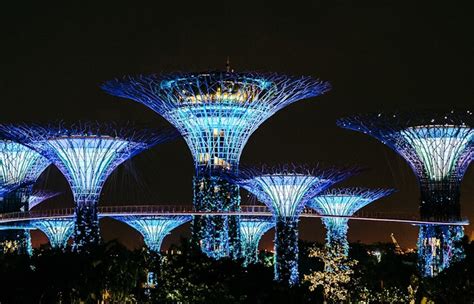 Gardens by the Bay Light Show | Tips, Timings & More