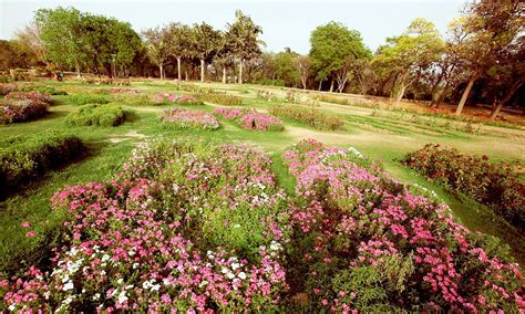 South Delhi parks will be tended by the public as RWAs take charge ...