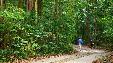 The Best Hotels Closest to Bukit Timah Nature Reserve in Singapore for 2021 - FREE Cancellation ...