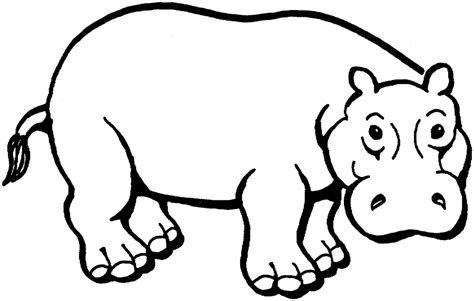 Free Hippo Images For Kids, Download Free Hippo Images For Kids png images, Free ClipArts on ...