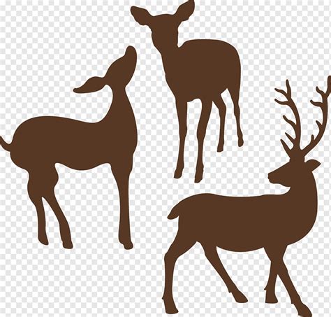 Deer Silhouette, animal silhouettes, antler, mammal, animals png | PNGWing