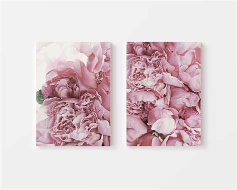 Peonies Canvas – Canva Home