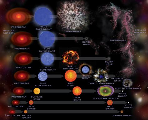 What is the Life Cycle of Stars? - Universe Today