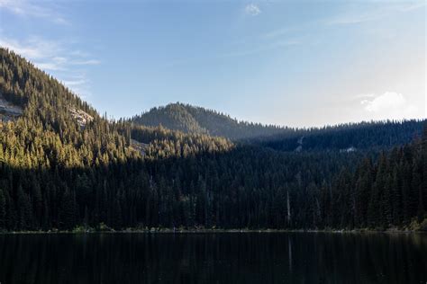 Idaho Panhandle National Forest Pictures | Download Free Images on Unsplash