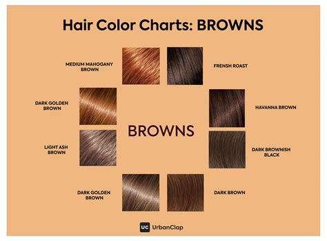 Find the right shade of brown hair colour for glossy brunette locks in this post, based on your ...
