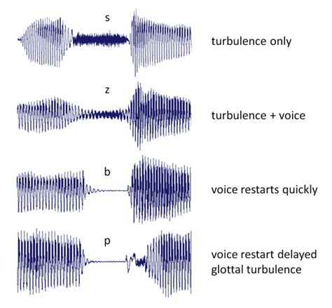 Consonant Acoustics