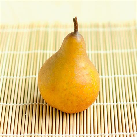 Comice Pear Trees for Sale – FastGrowingTrees.com