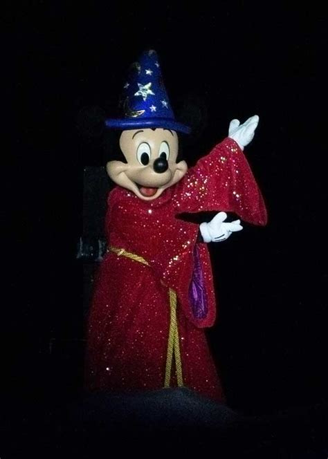 Our ~Frogtastic~ Guide to Fantasmic! at Disney World