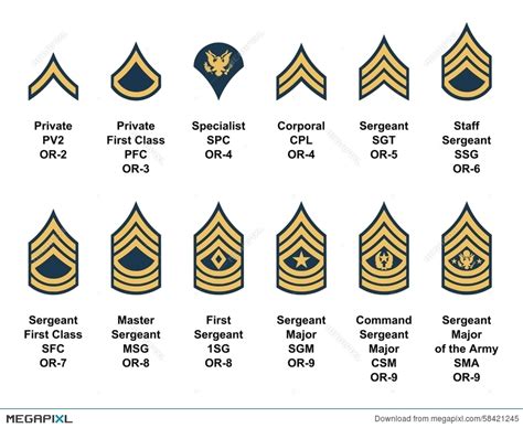 army ranks clipart 20 free Cliparts | Download images on Clipground 2024