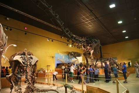 The Wyoming Dinosaur Center & Dig Sites – Thermopolis, Wyoming