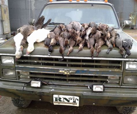 Guided Duck Hunting in Arkansas