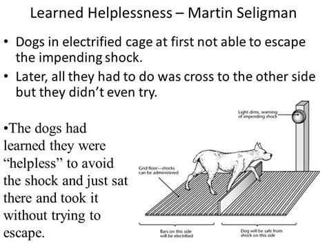 What Is The "Learned Helplessness" Psychology Definition? | Betterhelp