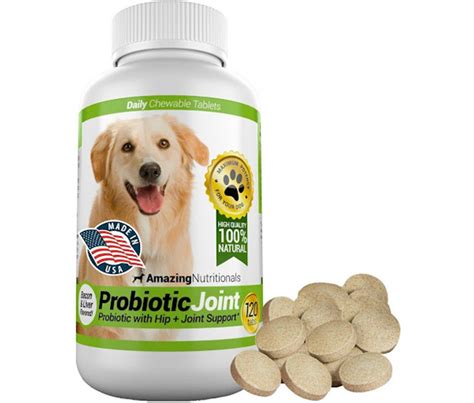 20 Best Probiotics For Dogs - Men's Journal