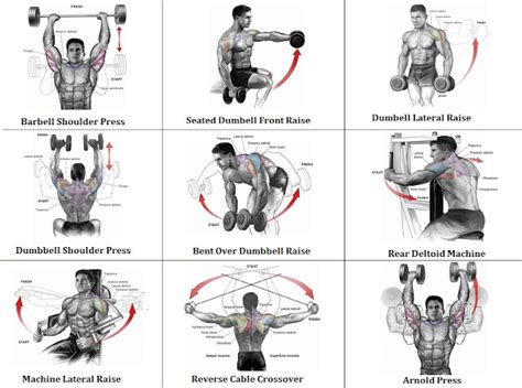 2 Shoulder Routines to Get the Best Shoulder Workout Guaranteed ...