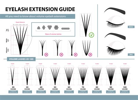 Learn Lash Extensions | Eyelash extensions, Volume eyelash extensions, Eyelash studio