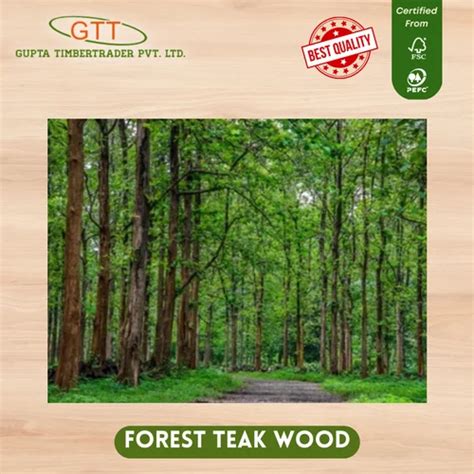 Forest Teak Wood at Rs 1200/sq ft | Ivory Coast Teak in New Delhi | ID: 2850809331248