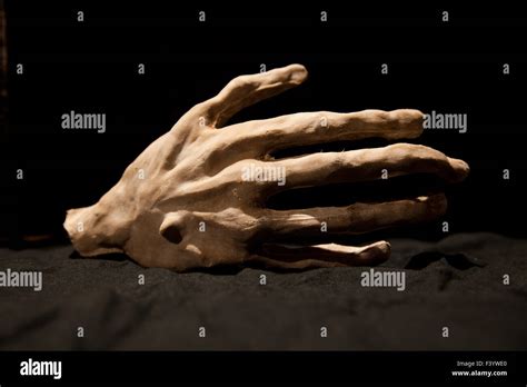 Bony hi-res stock photography and images - Alamy