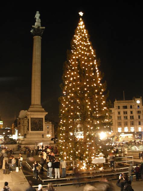 Livin´sponge: Trafalgar Square Christmas tree!