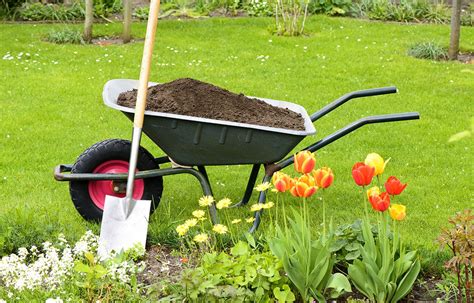 Wheelbarrow Dimensions (Standard Tray, Handle & Tire Sizes)