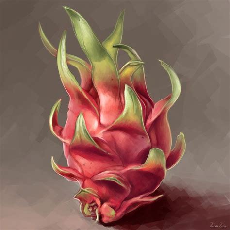 Liz's Sketchblog » dragon fruit | Fruit artwork, Fruits drawing, Fruit painting