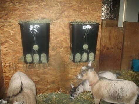 dwarf goat hay feeder plans - Google Search Pygmy Goat Pen, Pygmy Goats, Goat Hay Feeder, Goat ...