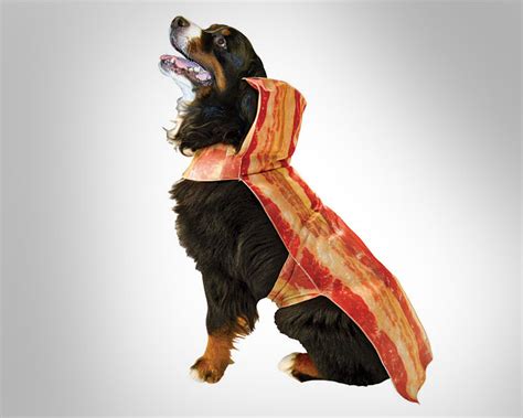 Bacon Dog Costume