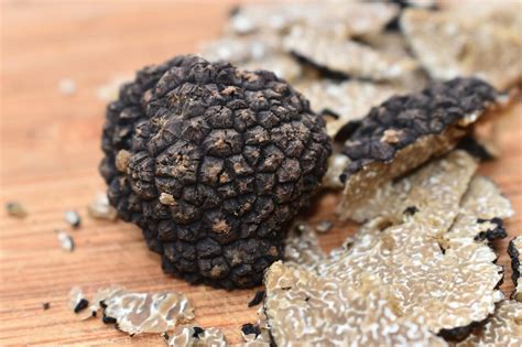 How To Cook Truffle Mushrooms {Tips & Tricks} - Jack's Garden