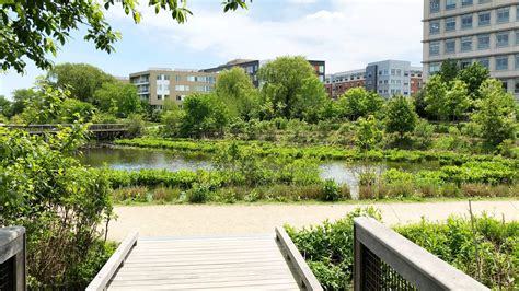 Alewife Brook Reservation in Cambridge, MA: Plan Your Trip - UrbnParks