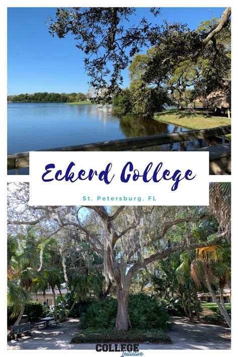 Eckerd College | Eckerd college, College search, College admission