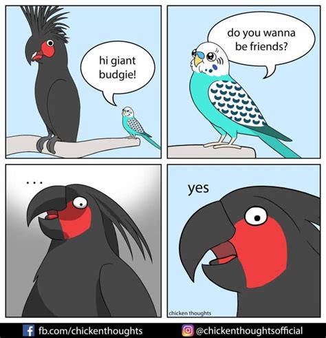 25 Funniest New comics about parrots, illustrated by the owner of the birds herself - Bored Comics