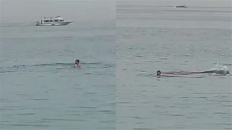 'Happened in a second': Russian tourist eaten by shark in front of his father at Egyptian beach ...