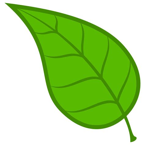 نتيجة بحث الصور عن ورقة شجر | Leaf clipart, Clip art, Leaf crafts