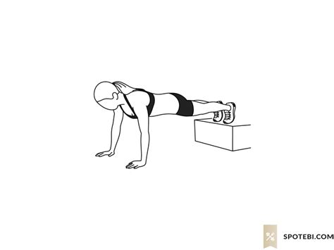 Decline Push Up | Illustrated Exercise Guide