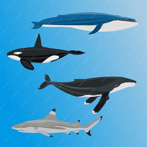 Premium Vector | Ocean fish vector