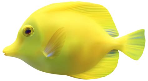 a yellow fish is shown on a white background