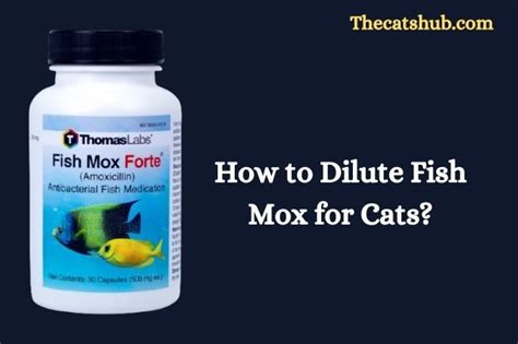 Top 8 Fish Amoxicillin Dosage For Cats In 2022 | Amoxicillin, Fish, Cats