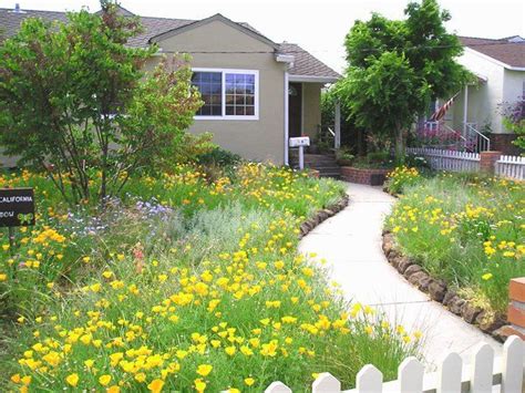 The lawn at this residence has been replaced with a Bunchgrass and ...