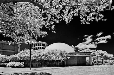 Infrared Indian River State College #7 Photograph by Bill Piacesi - Pixels