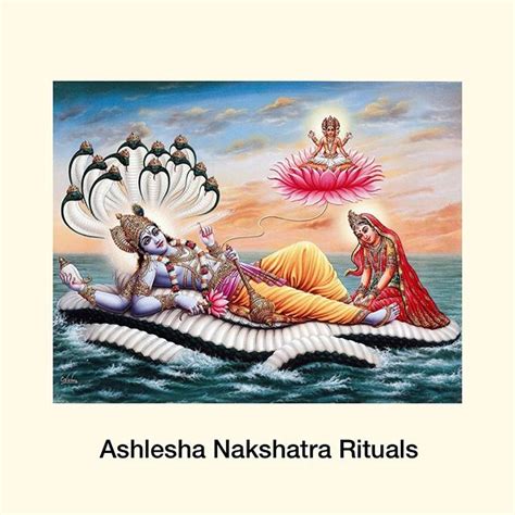 Do these rituals when Moon transits Ashlesha Nakshatra to align with ...