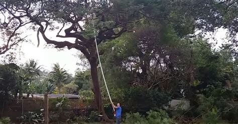 What is the Longest Pole Saw? (The Quest for Heights)