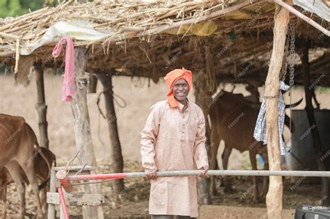 Premium Photo | Indian farmer and a yoke of oxen farming in india happy ...